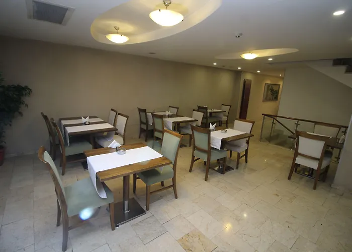 Vali Erdogan Hitit アンカラ