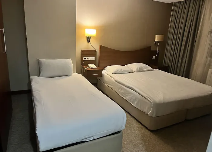 Vali Erdogan Hitit 2*