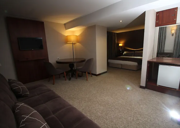 Vali Erdogan Hitit 2* Ankara