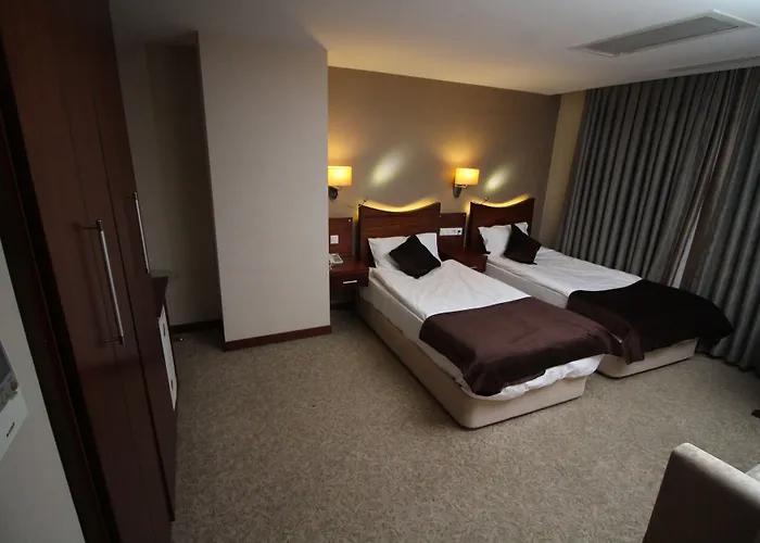 Vali Erdogan Hitit アンカラ