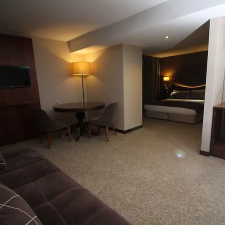 Vali Erdogan Hitit 2* Ankara